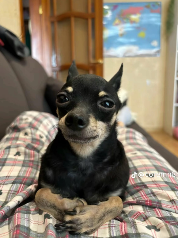 Teste de Noticia Principal